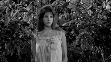 https://www.aluenstudios.com/ALUEN-VIDEO/KISS-ME-BABY/STEFANIA%20SANDRELLI-MARCELLO%20MASTROIANNI_file/image008.jpg